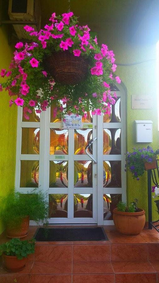 Motel Ioanis Mîndruloc Exterior foto